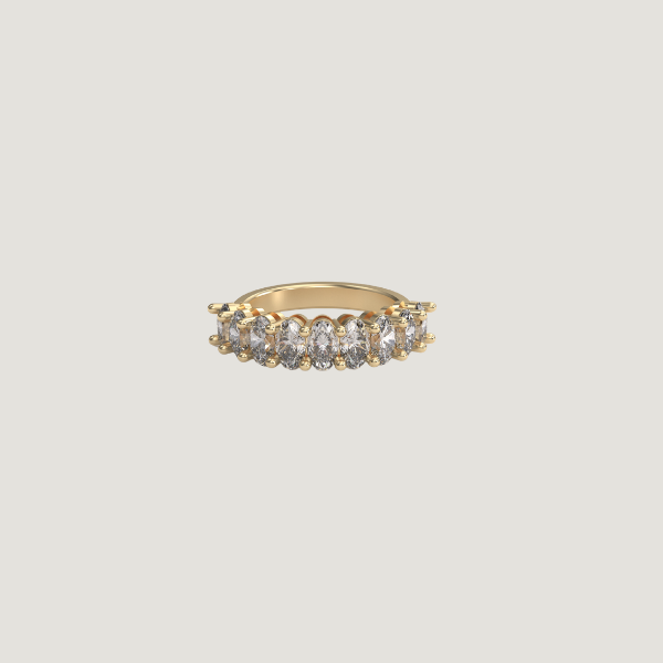 Custom: A Ring for a Growing Family
