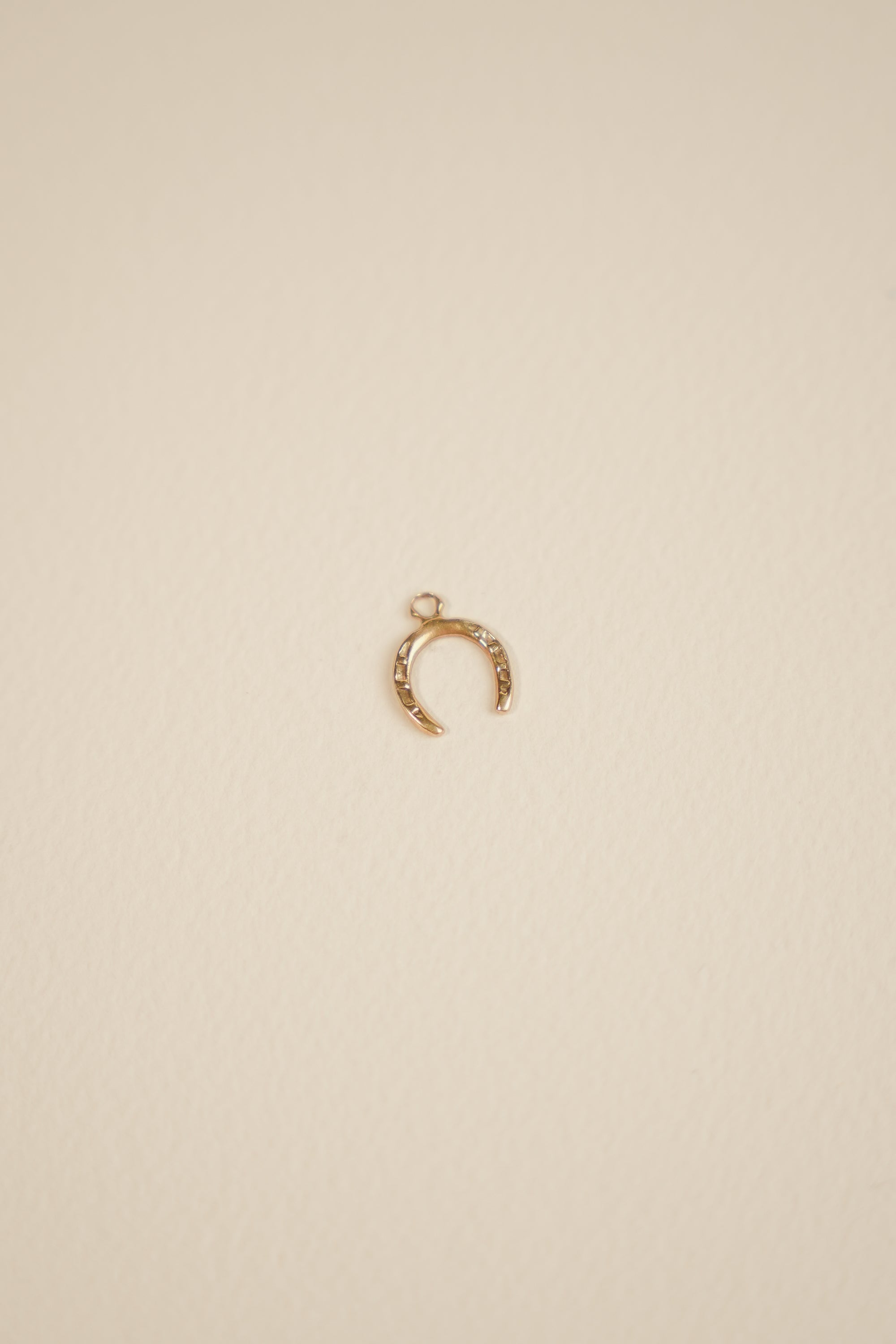 9ct Yellow Gold Horseshoe Charm